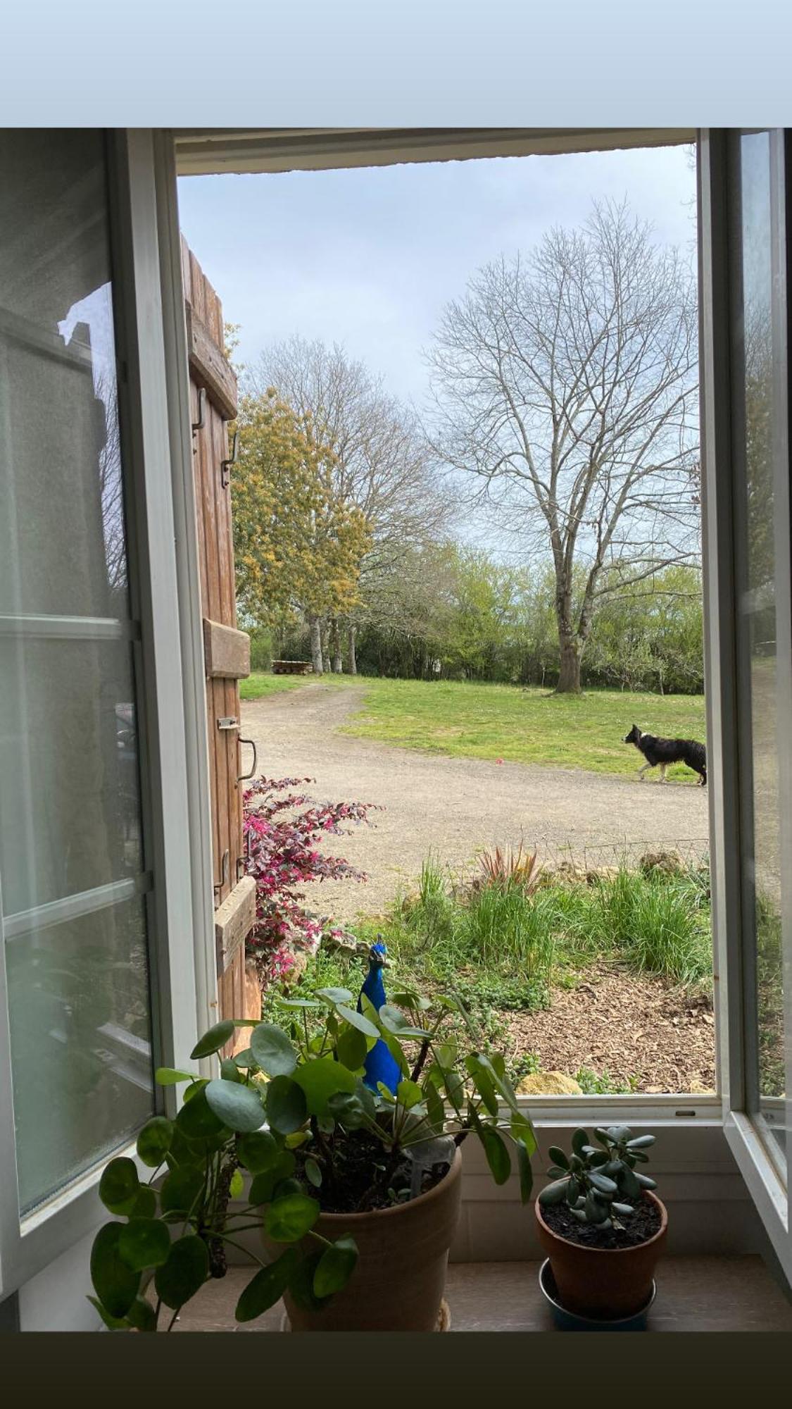 La Bastide Bed & Breakfast Armous-et-Cau Exterior foto